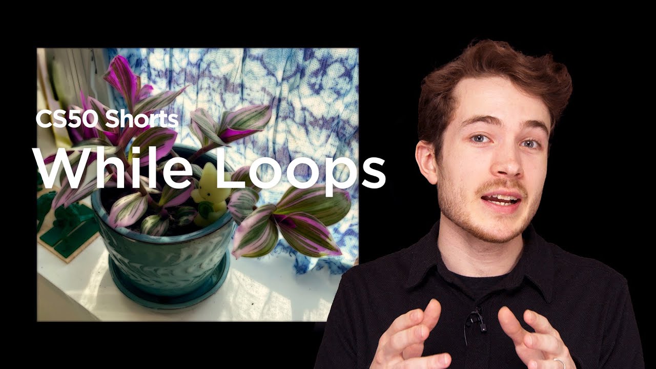 While Loops - CS50P Shorts