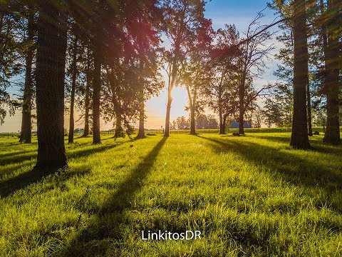 Canelon Grande - Canelones - Uruguay