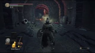 My experience with Jailers In a Nutshell - Dark Souls 3