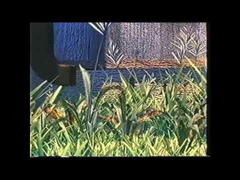 Animal Story Part 19