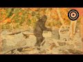 Why Bigfoot Isn T A Myth A Physicist S Perspective