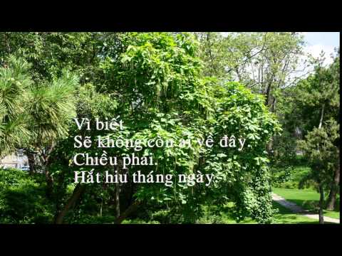 Bên lề Sheet - Hương Giang