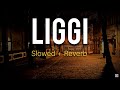 LIGGI Ritviz Slowed Reverb