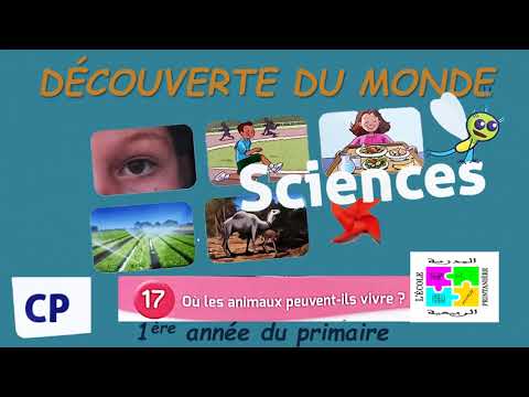 Activité scientifique CP Découverte du monde 1ère année primaire Unité 5 Leçon 17