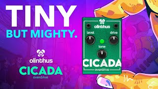 Introducing Olinthus Cicada, The World's Smallest Effects Pedal!