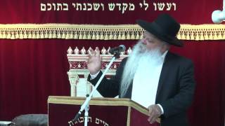 האוצר והתבואה | סדרת יראת שמים | הרב דניאל זר