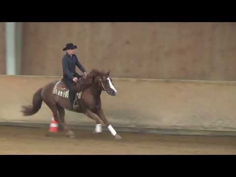 Spin To Win II - SK Cocoa Whiz (score: 71)