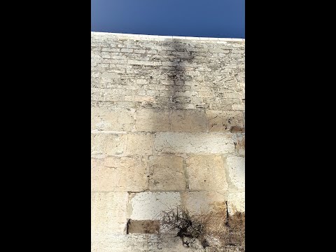 Avinu Malkeinu (Mitratze BeRachamim) מתרצה ברחמים