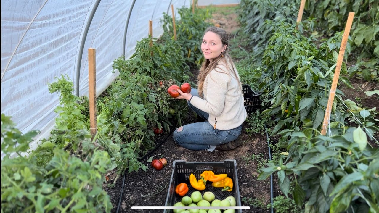 Late fall CSA harvest