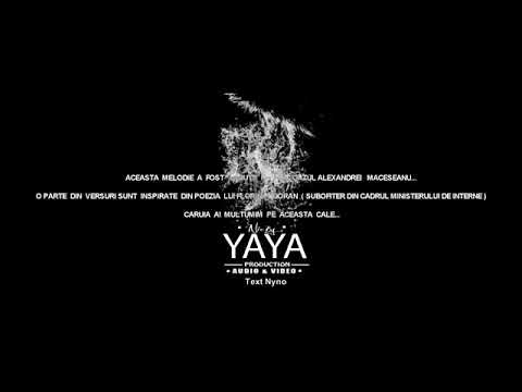 Nyno si Nicky yaya - Drama de la Caracal (dați- l  la părinți ) 2019