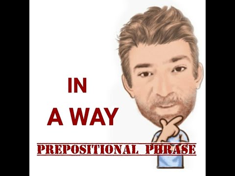 In a Way - Prepositional Phrase (156) Two Meanings - English Tutor Nick P