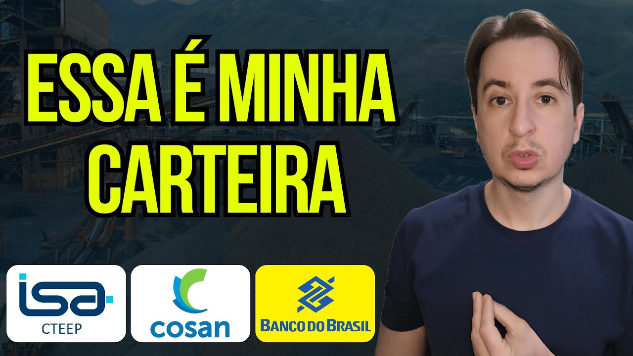 Minha Carteira de Ações e o que estou de olho! Trpl4, Vale3, Bbas3, Sapr11