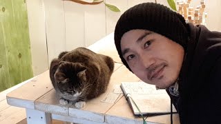 영암군 귀촌지원사업 시작 - 실시간 정보 [파격지원]