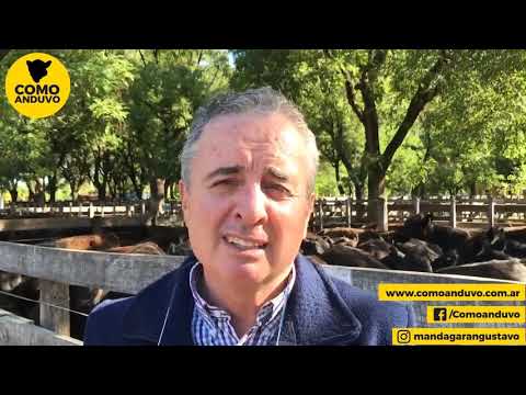 01-12-20 - Juan Wallace - Wallace Hnos . S.A. - Azul, Bs-As.