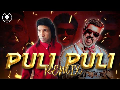 Puli Puli x Ak | DJ MOE LAY | TikTok Trending Mix