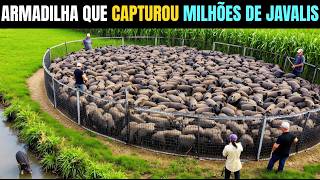 Como os fazendeiros na Africa do Sul Construíram a Maior Armadilha que Capturou Milhões de Javalis