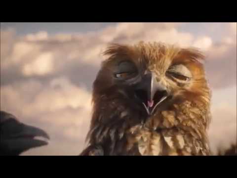 Lustige Vögel auf der Stromleitung ►Magnetmotor mit Generator►↓ ↓▼INFOBOX▼↓ ↓►Strom sparen