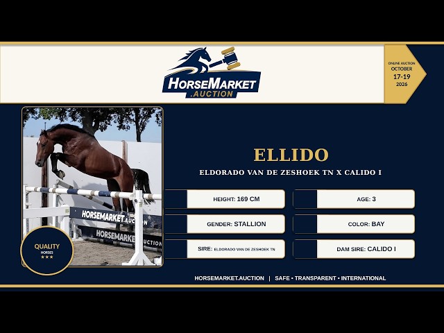 Ellido