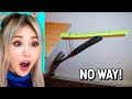 Amazing Things You Have To See To Believe