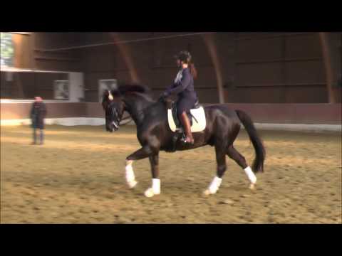 2017.02.11-12 Lena Backes mit Fioretto Festival beim Lehrgang Michael Faßbender