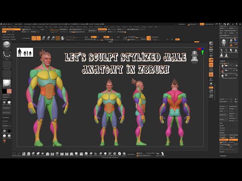 let's sculpt stylized male anatomy in Zbrush