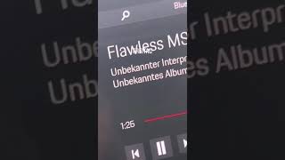 FLAWLESS Music Video