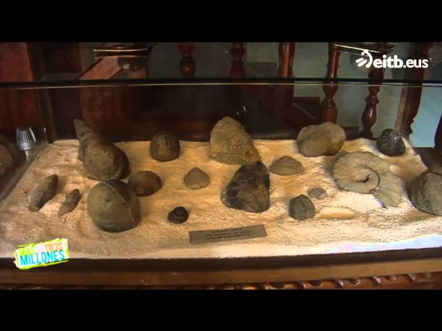 Vídeo relacionado con Sibba Soporte grande de metal ajustable para platos, caballete de exhibición con base acrílica, soporte pequeño, base transparente, decoración del hogar, acentos para geodas de coral fósil, roca