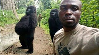 Même les singes aiment prendre des selfies | Vidéos d'animaux les plus drôles