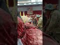 Hantu Pocong Seram Shorts Video Fyp Short