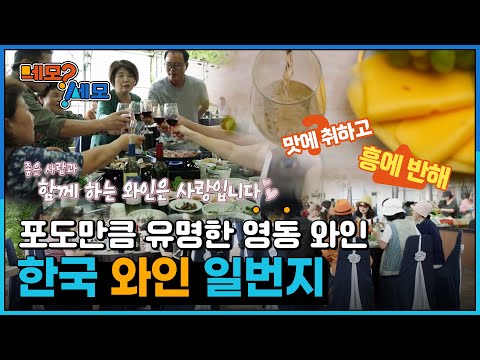 [네모세모] 영동와인.국악축제를 준비하는 사람들