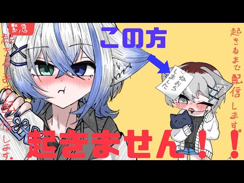 【緊急配信】 コラボなのに起きませんこの方!!! 【雨之叶海/AmenoToa】 #新人Vtuber #しずくとあらいぶ #初見歓迎