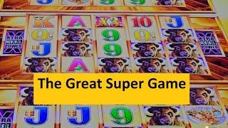Super Big Win on Buffalo Gold Wonder 4 Tall Fortunes! Aristocrat Game