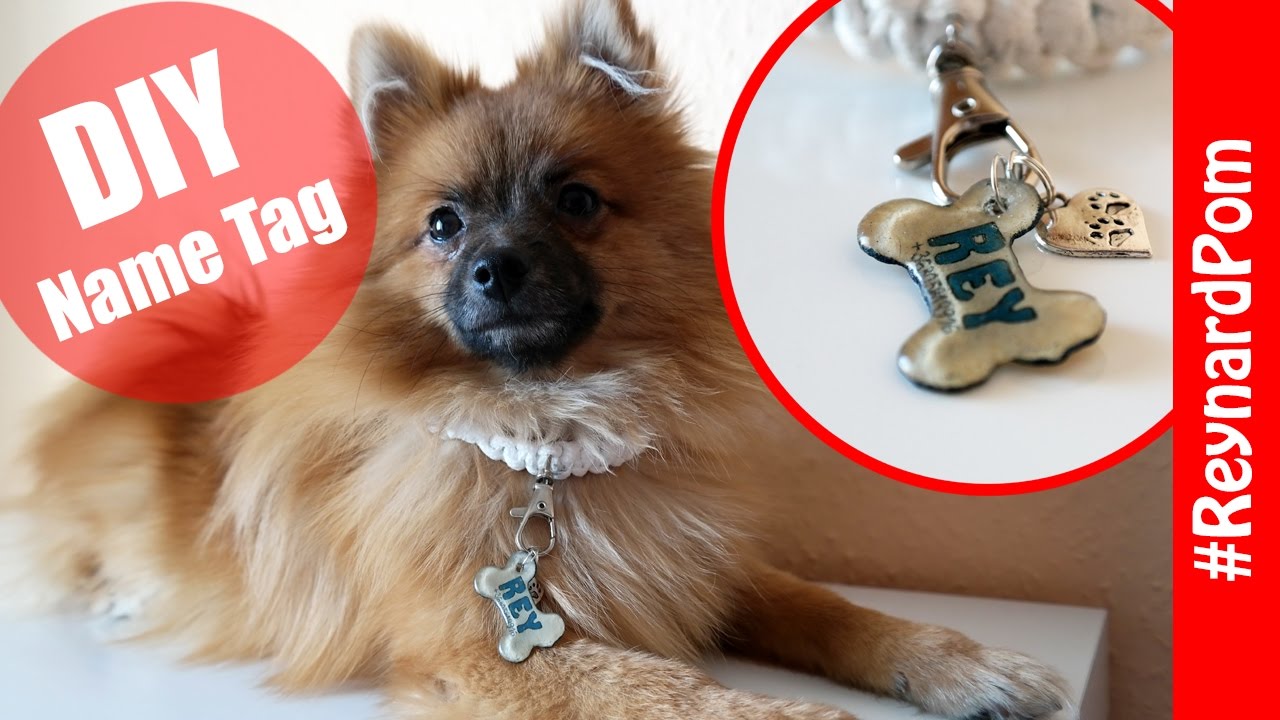 Watch video DIY - Dog Collar Name Tag (Shrinking Film) Now DIY - Dog Collar Name Tag (Shrinking Film)