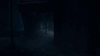 リアニマル　実況