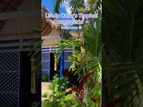 Cuba’s Most Fertile Region | Why Houses in Rural Cuba Look Like This 🇨🇺