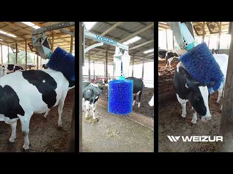 Escova Massageadora para Gado Comfort Brush Plus