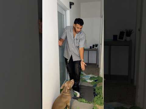 My Dog Destroyed The House!😭 #fail