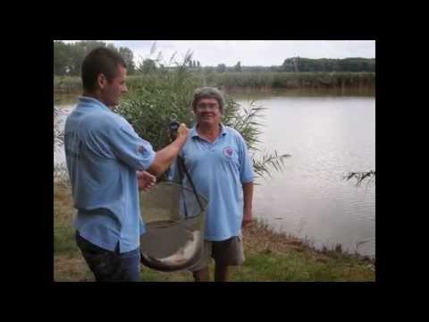 2014.08.20. Képgaléria