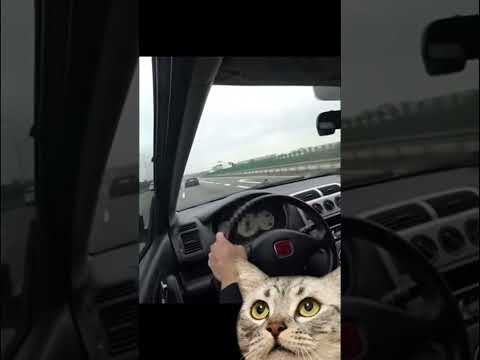 Nietypowa usterka BMW #nauka #technika #fizyka