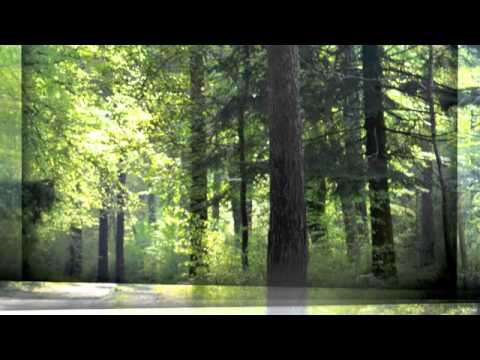 Andy Compton Feat. Rainy Payne "What Am I "