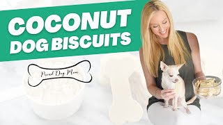 Coconut Dog Biscuits: A Gluten-Free Dog Treat Recipe | Proud Dog Mom