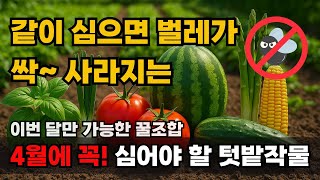 4월에 심는작물 채소 텃밭작물 추천! 같이 심으면 좋은 조합으로 해충도 막아요