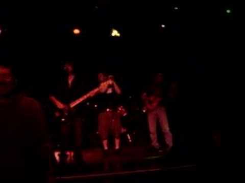 Koncrete Pillo - Animals