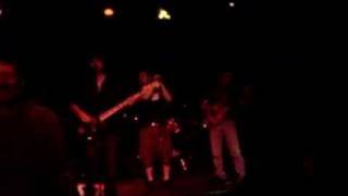 Koncrete Pillo - Animals