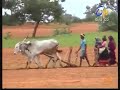 Annadata Kannada