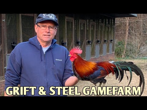 Curtis Blackwell McLean Hatch - GRIFT & STEEL FARM - Joe Mac