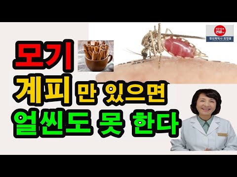 , title : '모기 계피만 있으면 얼씬도 못한다'