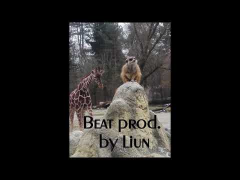 88. Liun Instrumental / Zoli Beatz (94 BPM) - Newschool Instrumental Nr. 152