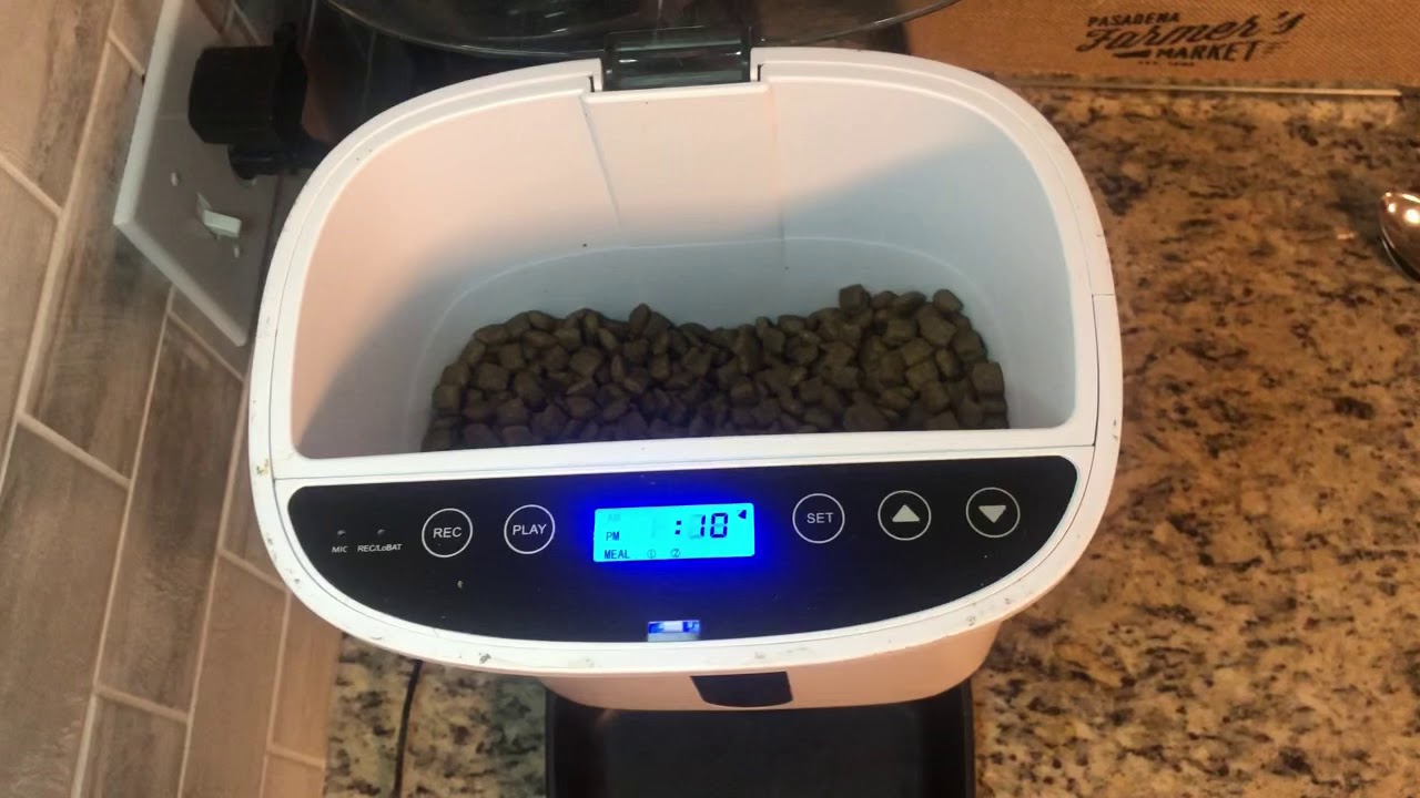 Automatic Pet Feeder by Arf Pets    https://amzn.to/2LtbISM