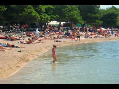 Apartment Ivana - Vodice - Croatia